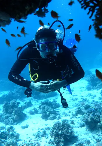 Egypt International Diving